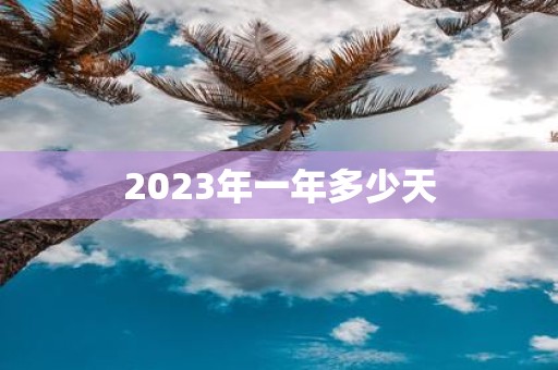 2025年一年多少天