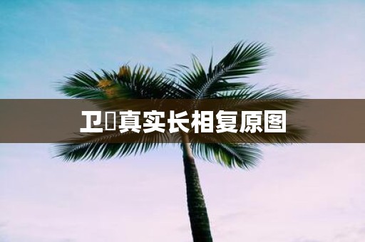 卫玠真实长相复原图