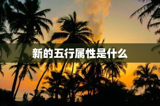 新的五行属性是什么