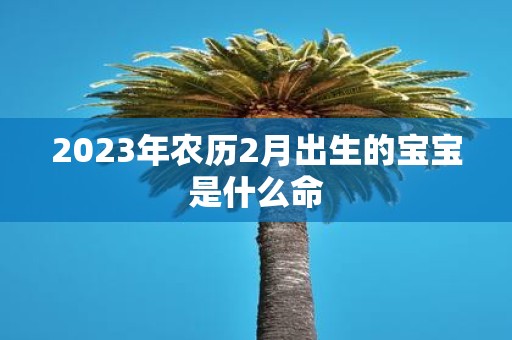 2025年农历2月出生的宝宝是什么命