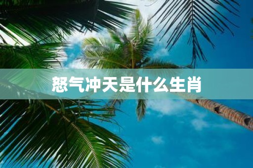 怒气冲天是什么生肖