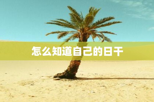 怎么知道自己的日干