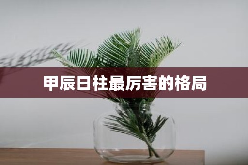 甲辰日柱最厉害的格局