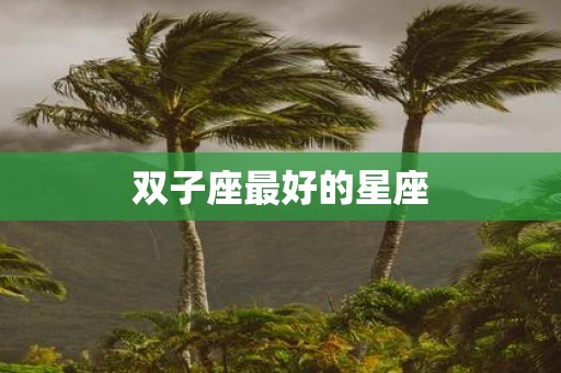 双子座最好的星座