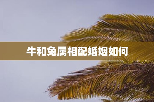 牛和兔属相配婚姻如何