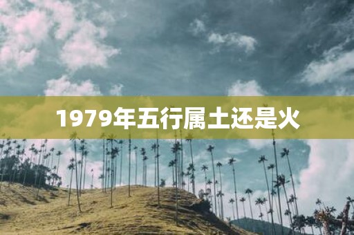 1979年五行属土还是火