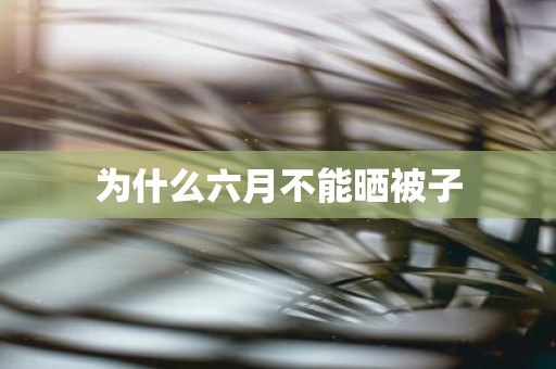 为什么六月不能晒被子