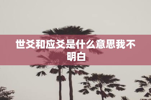 世爻和应爻是什么意思我不明白