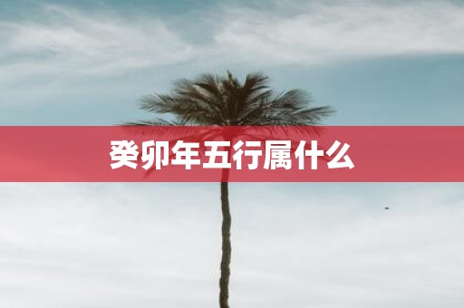 癸卯年五行属什么