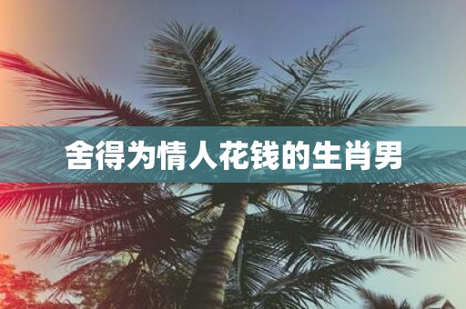 舍得为情人花钱的生肖男