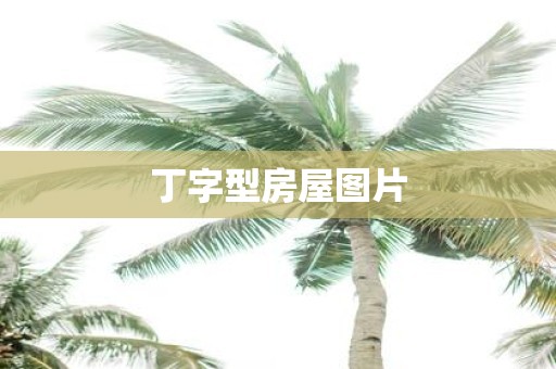 丁字型房屋图片