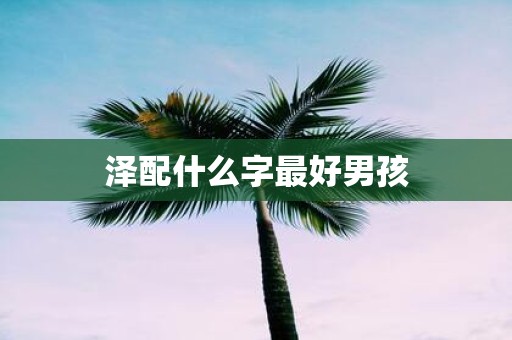 泽配什么字最好男孩
