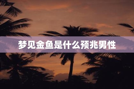 梦见金鱼是什么预兆男性