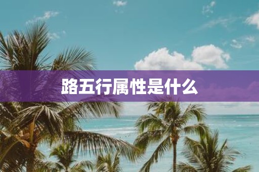 路五行属性是什么