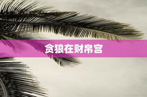 贪狼在财帛宫