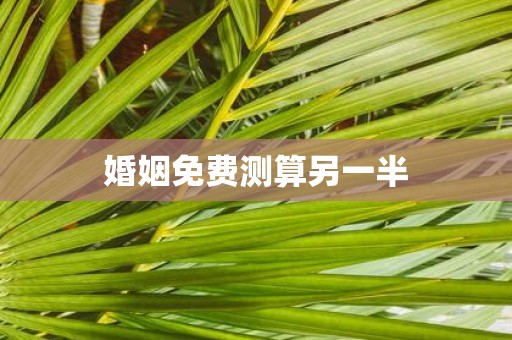 婚姻免费测算另一半