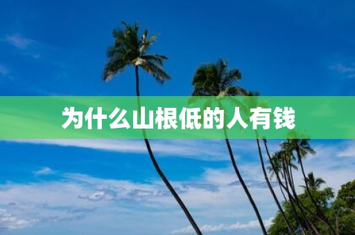 为什么山根低的人有钱