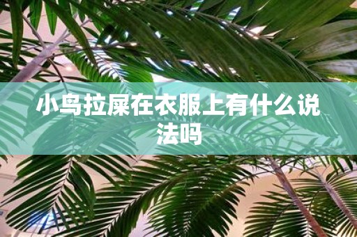 小鸟拉屎在衣服上有什么说法吗