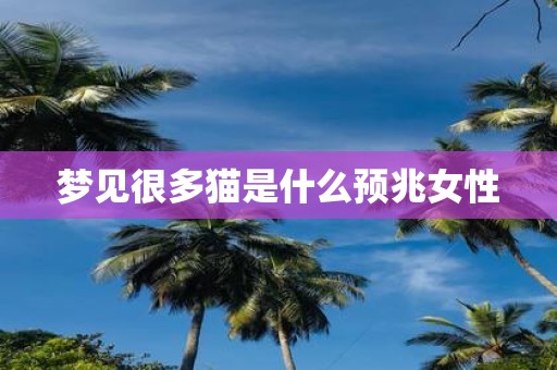 梦见很多猫是什么预兆女性