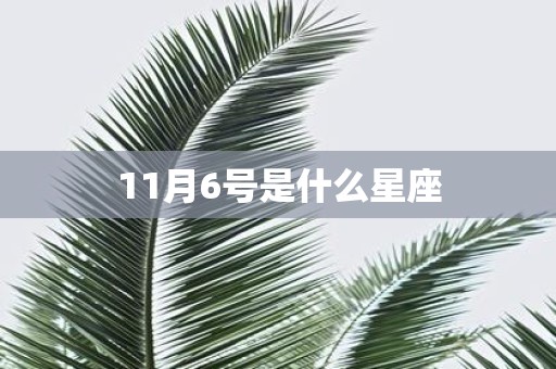 11月6号是什么星座