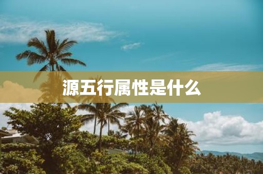 源五行属性是什么