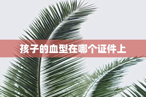 孩子的血型在哪个证件上