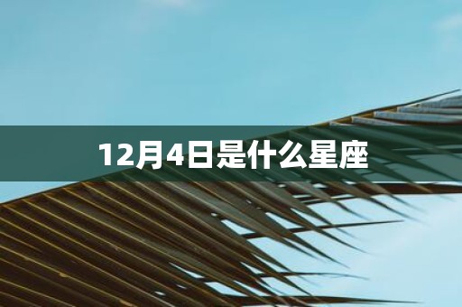 12月4日是什么星座