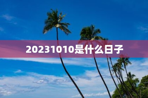 20251010是什么日子