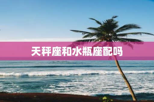 天秤座和水瓶座配吗