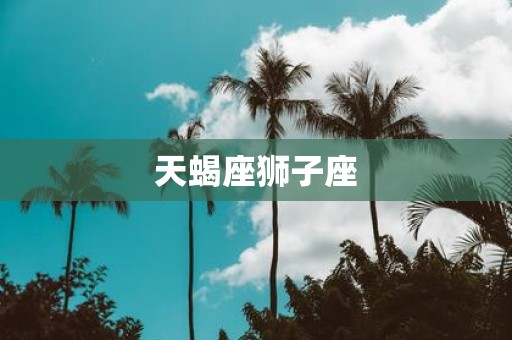 天蝎座狮子座