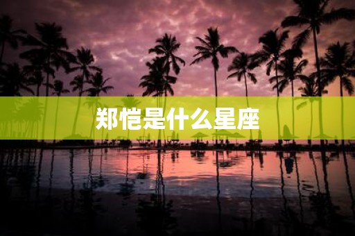 郑恺是什么星座