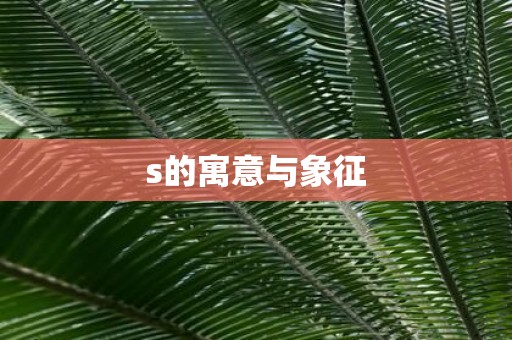 s的寓意与象征