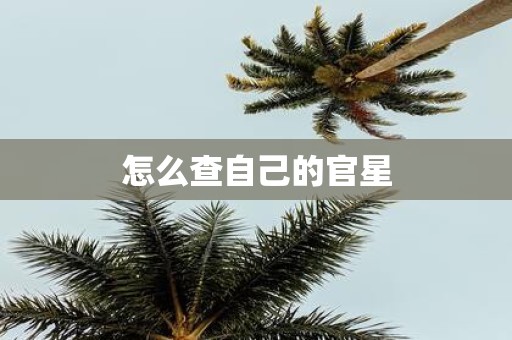 怎么查自己的官星