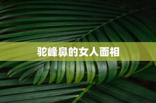驼峰鼻的女人面相