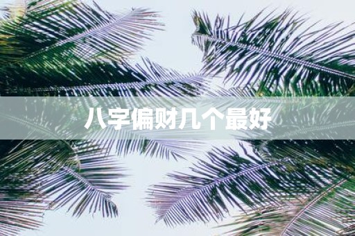 八字偏财几个最好