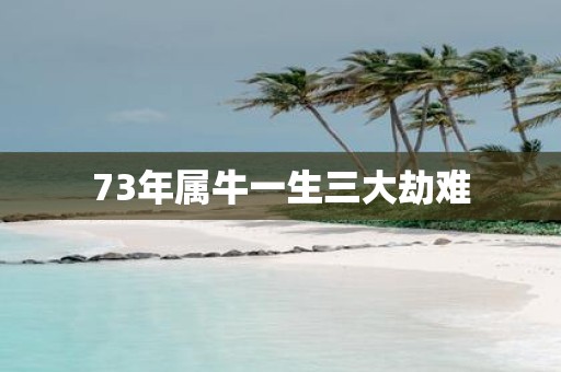 73年属牛一生三大劫难