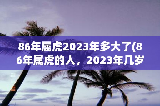 86年属虎2025年多大了(86年属虎的人，2025年几岁？)