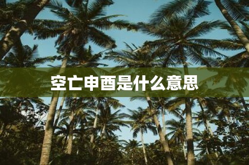 空亡申酉是什么意思
