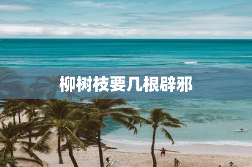 柳树枝要几根辟邪