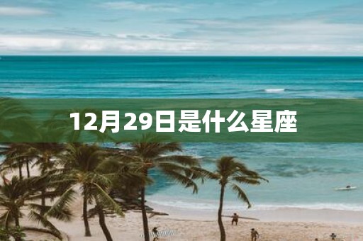 12月29日是什么星座