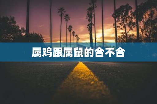 属鸡跟属鼠的合不合