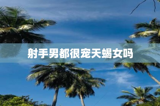 射手男都很宠天蝎女吗