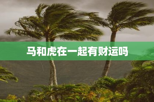马和虎在一起有财运吗