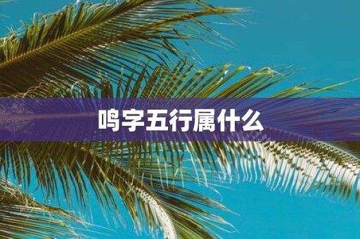 鸣字五行属什么