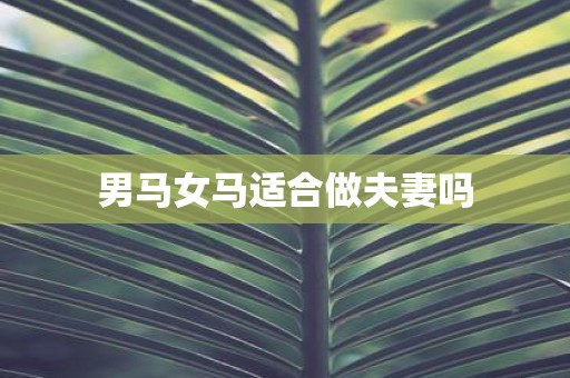 男马女马适合做夫妻吗