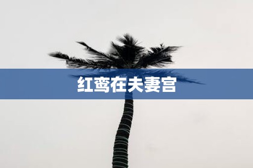 红鸾在夫妻宫