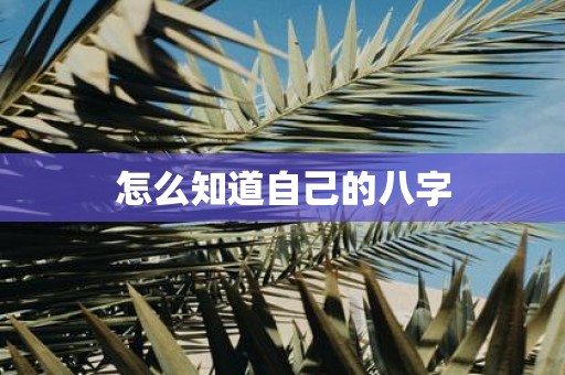 怎么知道自己的八字