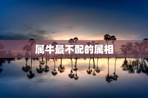 属牛最不配的属相