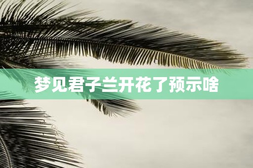 梦见君子兰开花了预示啥