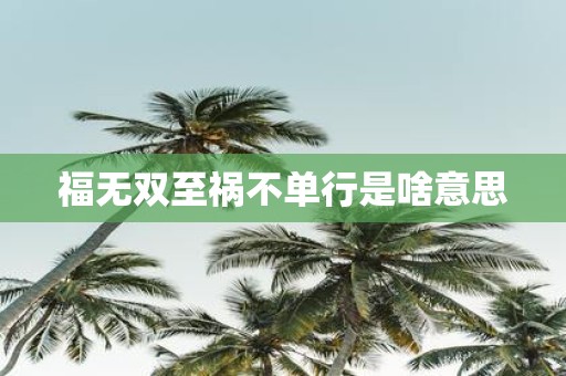福无双至祸不单行是啥意思